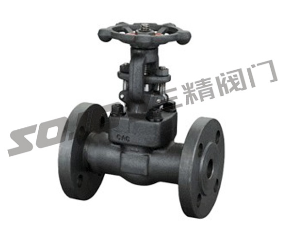 法兰锻钢闸阀